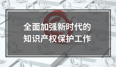 全面加强新时代的知识产权保护工作